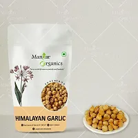 ManHar Organics Himalayan Garlic/Kashmiri Lehsun 100gm - Himalayan Single Clove Garlic or Snow Mountain Garlic for strong Immunity  Diabetes-thumb4