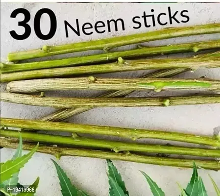 Natural Neem Datun Twigs for Healthy Tooth Pack of 30 stick-thumb0