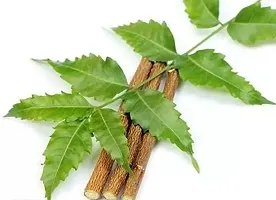 Natural Neem Datun Twigs for Healthy Tooth Pack of 30 stick-thumb1