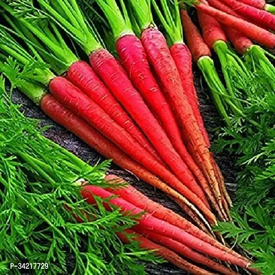 Red Carrot (Gajar) Winter Vegetable Seeds Pack Of 50-thumb0