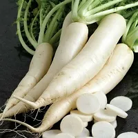 Organic White Radish (Mooli) Winter Vegetable Seeds Pack Of  500-thumb1