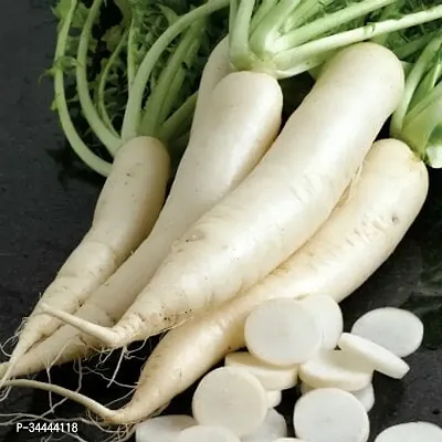 Organic White Radish (Mooli) Winter Vegetable Seeds Pack Of  500-thumb2