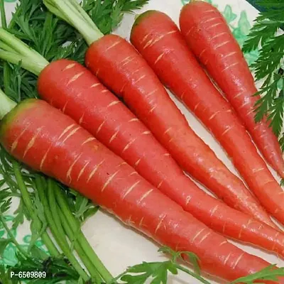 Red Carrot Vegetables Seeds Pack Of 50 Seeds-thumb0