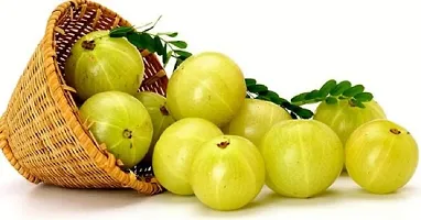 Amla Fruit Seeds Pack Of 30-thumb3