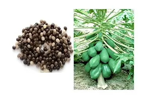 Papaya Papita Fruits Seeds -Pack Of 50 Seeds-thumb4