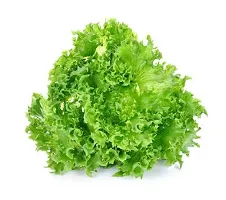 Lettuce Green Salad Patta Vegetables Seeds - Pack Of 100 Seeds-thumb2