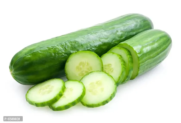 Cucumber F1 Summer Vegetable Seeds - Pack Of 50 Seeds-thumb5