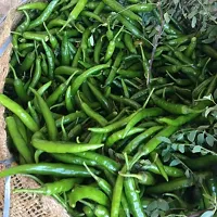 Hybrid Rare Green Chili Vegetable - 50 Seeds Pack-thumb1