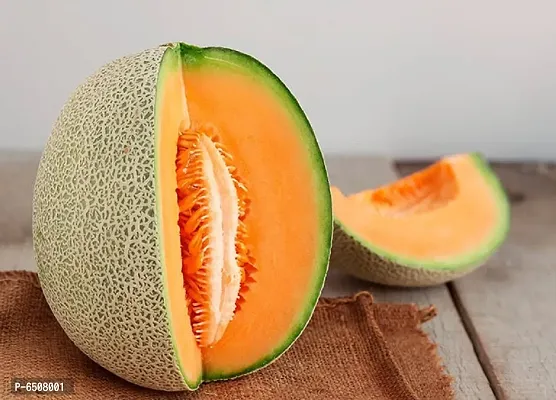 Musk Melon Golden Orange Flesh - Pack Of 30 Seeds-thumb0