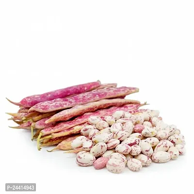 Red Bean Sutra ( Cranberry Beans ) Vegetable Seeds Pack Of 15-thumb4