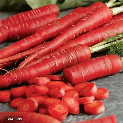 Carrot Red Vegetable Seeds Pack of 50-thumb0