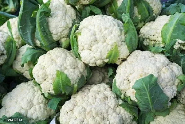 Caulfower Snowball Varity Vegetable Seeds Pack Of 100-thumb2