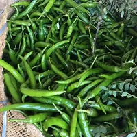 Green Chilli Hybrid Vegetable Seeds Pack Of 50-thumb1