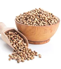 Coriander Desi Vegetable Seeds Pack 0f 100-thumb3