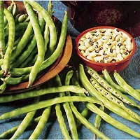 Cowpea Desi Vegetable Seeds Pack of 50-thumb2