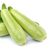 Light Zucchini Vegetable Seeds Pack Of 10-thumb2