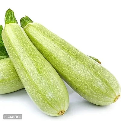 Light Zucchini Vegetable Seeds Pack Of 10-thumb3