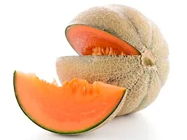 Muskmelon / Kharbooja Star Variety Fruit Seeds Pack Of 30-thumb1