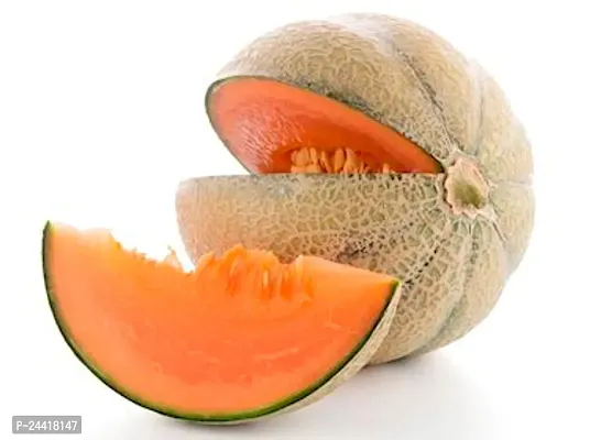 Muskmelon / Kharbooja Star Variety Fruit Seeds Pack Of 30-thumb2