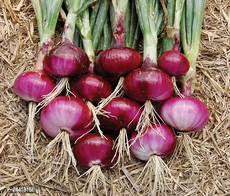 Onion Red Vegetable Desi Vegetable Seeds Pack Of 500-thumb0