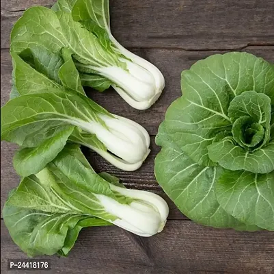 Bok Choy Exotic Vegetable Seeds Pack Of 100-thumb0