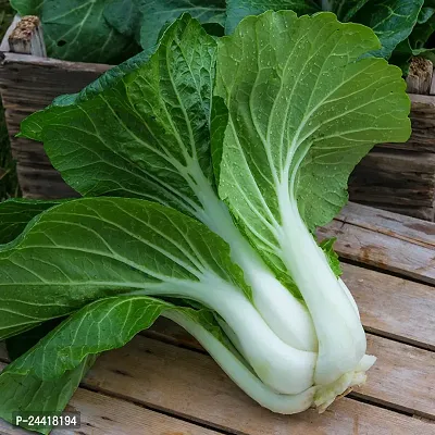 Pak Choi Vegetable Seeds Pack Of 100-thumb0