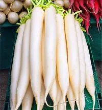 White Long Radish Vegetable Seeds Pack Of 500-thumb1
