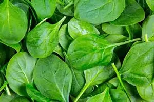 Spinach Green (Palak) Desi Vegetable Seeds Pack Of 200-thumb1