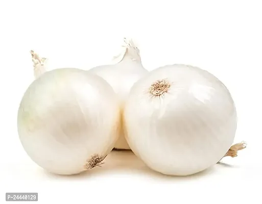 White Onion Vegetable Seeds Pack Of 500