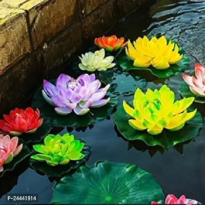 Lotus Mix Flower Seeds Pack Of 15