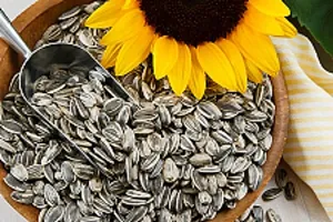 Sunflower Flower Seeds Pack Of 30-thumb2