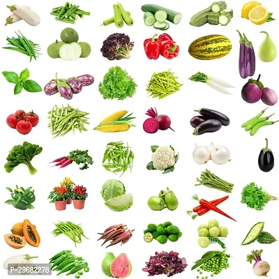 51 Variety Of Vegetable Seeds For Home