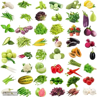 Vegetable Seeds Pack Of 51 variety (2260 Seeds ) Vegetable Fruit Herb And Flower Seeds For Home And kicthen Gardening.