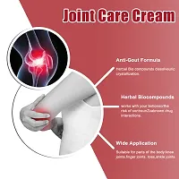 VEDULEKHA Portable Gout Ointment Herbal Toe Knee Joint Pain Relief Massage Cream - 100 GRAM-thumb1