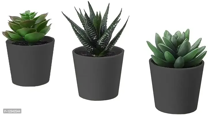 Chitra_Artificial Succulent Plants with Plastic Pot (Black Pot) (Pack of 1)