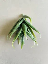 Generic Artificial Succulent (Green, 3 Pieces)-thumb4