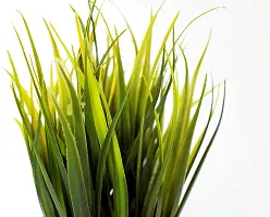 Chitra_Artificial Wheat Grass Plant ( Green) (Pack of 1)-thumb3