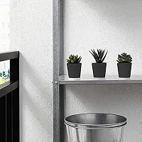 Chitra_Artificial Succulent Plants with Plastic Pot (Black Pot) (Pack of 1)-thumb1