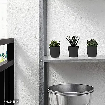 Chitra_Artificial Succulent Plants with Plastic Pot (Black Pot) (Pack of 1)-thumb2