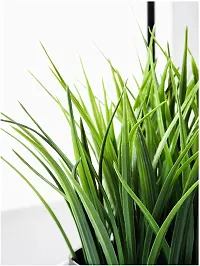 Artificial Potted Plant Grass Leafs with Plastic Pot (Green-1) (Pack of 1)-thumb2