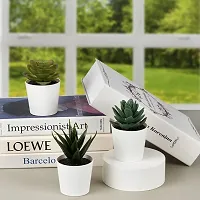 Chitra_Artificial Succulent Plants with Plastic Pot (Green) (Pack of 1)-thumb3