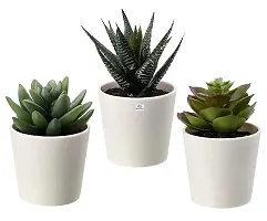 Chitra_Artificial Succulent Plants with Plastic Pot (Green) (Pack of 1)-thumb2