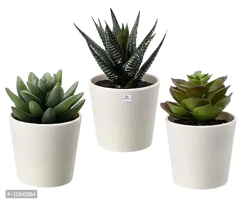 Chitra_Artificial Succulent Plants with Plastic Pot (Green) (Pack of 1)-thumb3