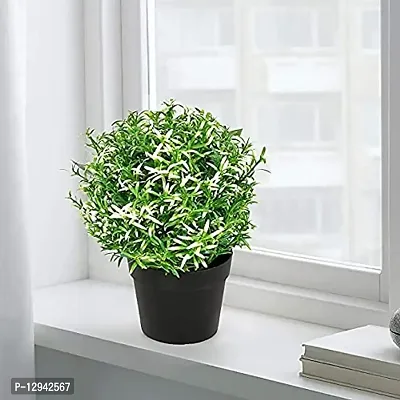 AFC Artificial Potted Plant - Rose Mary White Leaf - 1 Piece-thumb3