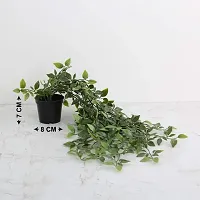 Home Centre Artificial Flower Gardenia Hanging Leaves with Pot (Green)-thumb2