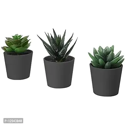 Chitra Artworks - Succulent Artificial Plants with Pot for Indoor/Outdoor/Home Decor (Black,3pieces) (Pack of 1)