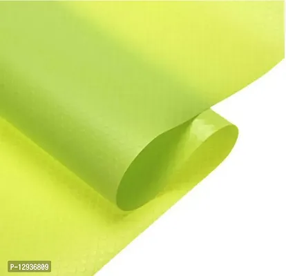 Chitra Artworks - Multipurpose Textured Anti-Slip Eva Mat -for Fridge, Bathroom, Kitchen, Drawer, Shelf Liner (Green)-thumb3