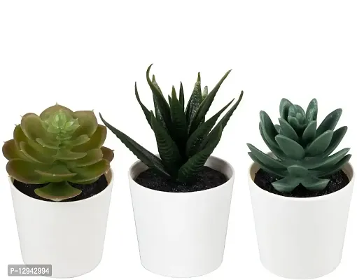 Chitra_Artificial Succulent Plants with Plastic Pot (Green) (Pack of 1)