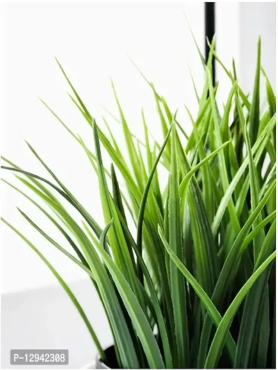 Chitra_Artificial Wheat Grass Plant ( Green) (Pack of 1)-thumb2