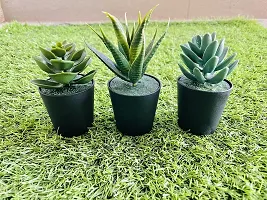 Chitra_Artificial Succulent Plants with Plastic Pot (Black Pot) (Pack of 1)-thumb2